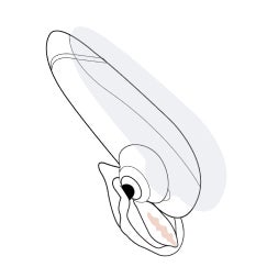 Как использовать Liberty 2